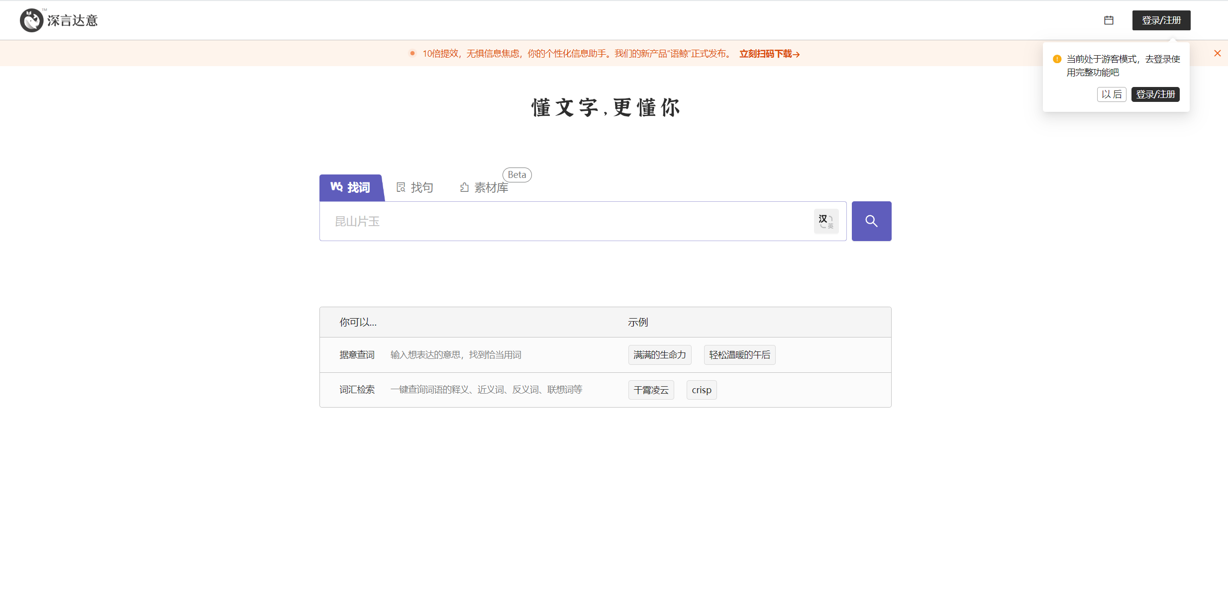 深言达意