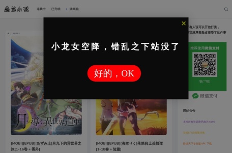 魔笔小说·轻小说