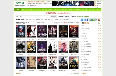 宝书网·TXT下载