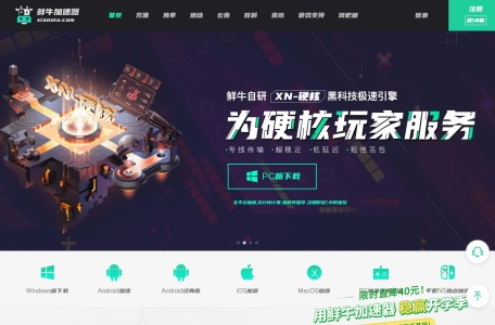 鲜牛加速器